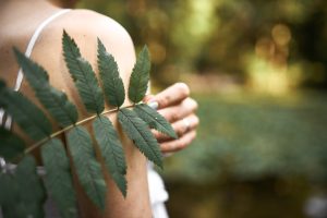 imagen-recortada-desconocida-misteriosa-joven-posando-parque-sosteniendo-hoja-verde-mientras-relaja-al-aire-libre-dia-soleado-cerca-planta-helecho-mano-femenina_343059-2127